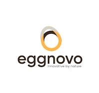 Eggnovo